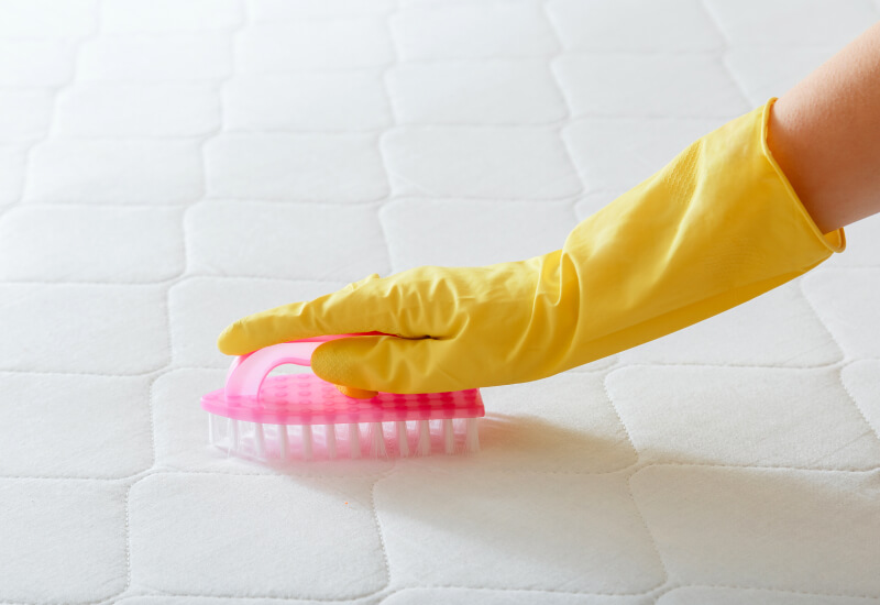 mattress cleaning