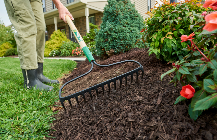 rake in mulch