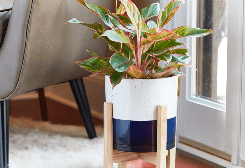 indoor planter