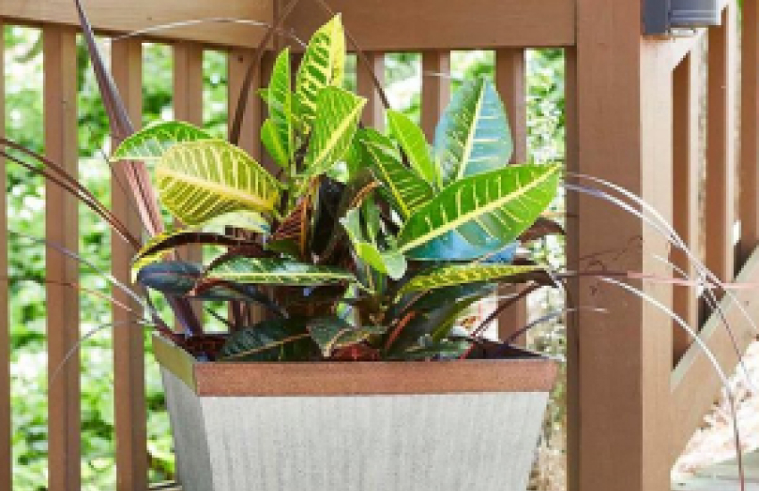 How to Drill Drainage Holes in a Planter