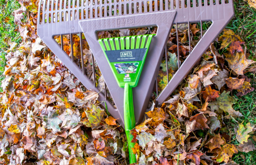 rake on top of fall leaves