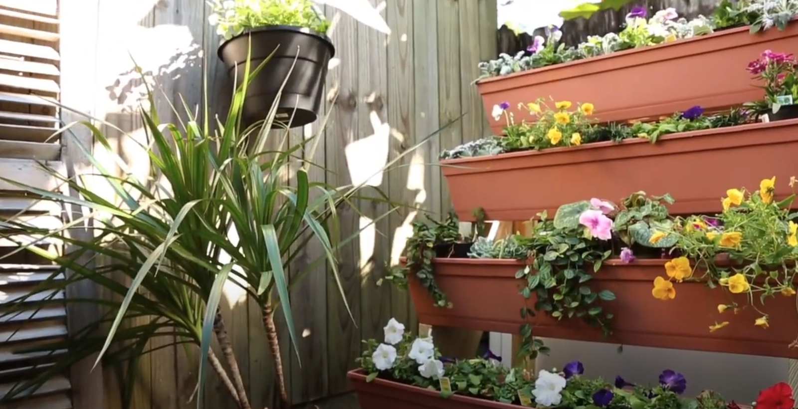 Small Space Gardening