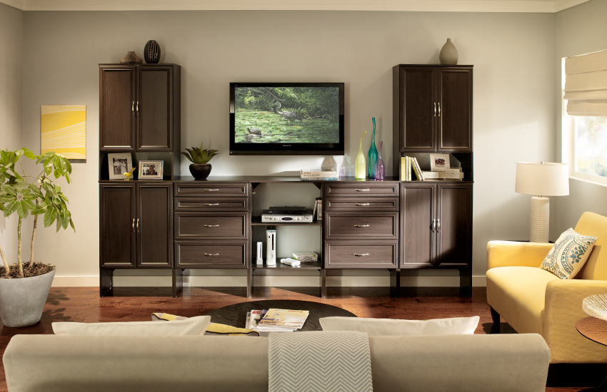 TV room storage