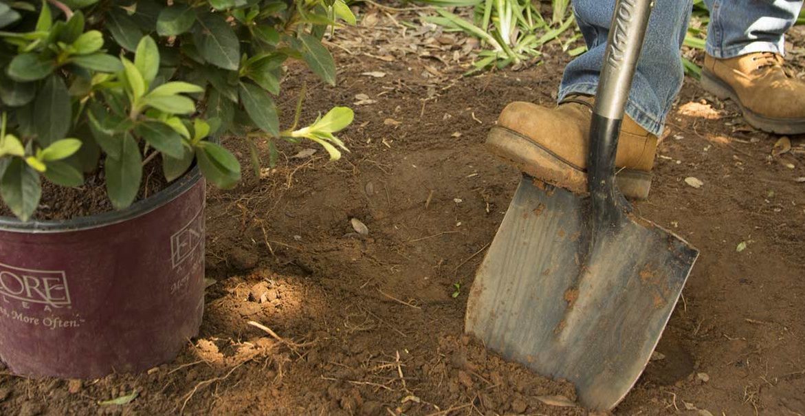 Tools for Landscaping Trucks