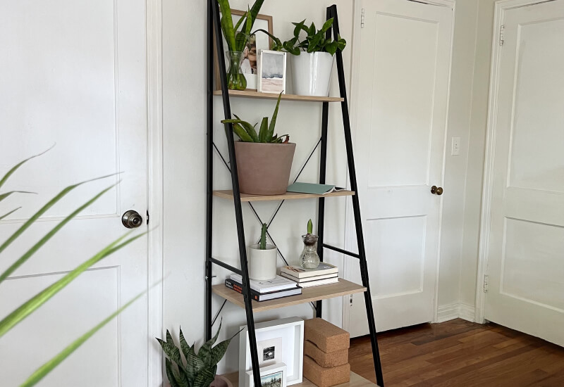 ladder book shelf