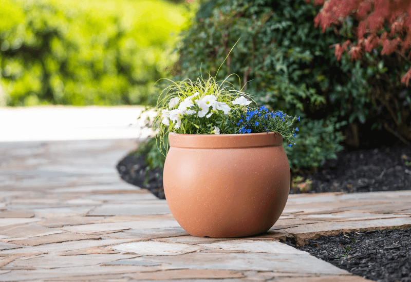 Beautify Your Entryway