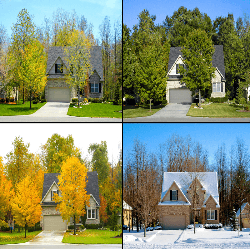 Seasonal Storage Ideas