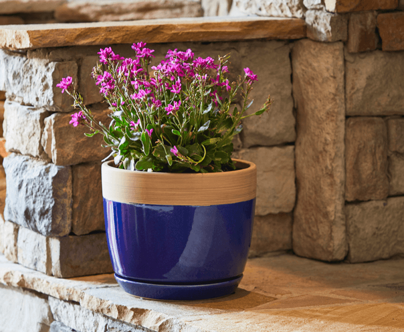 colorful planter on front porch