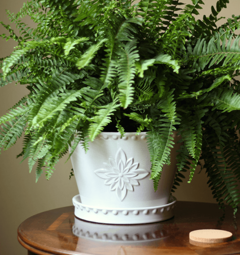 Our Favorite Housewarming Gifts