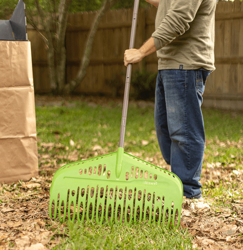 rake collecting leaves in a yard