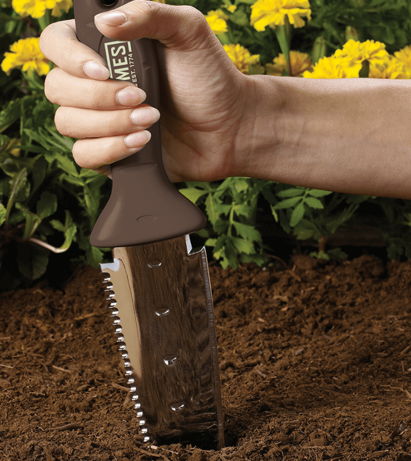 planting flowers in garden