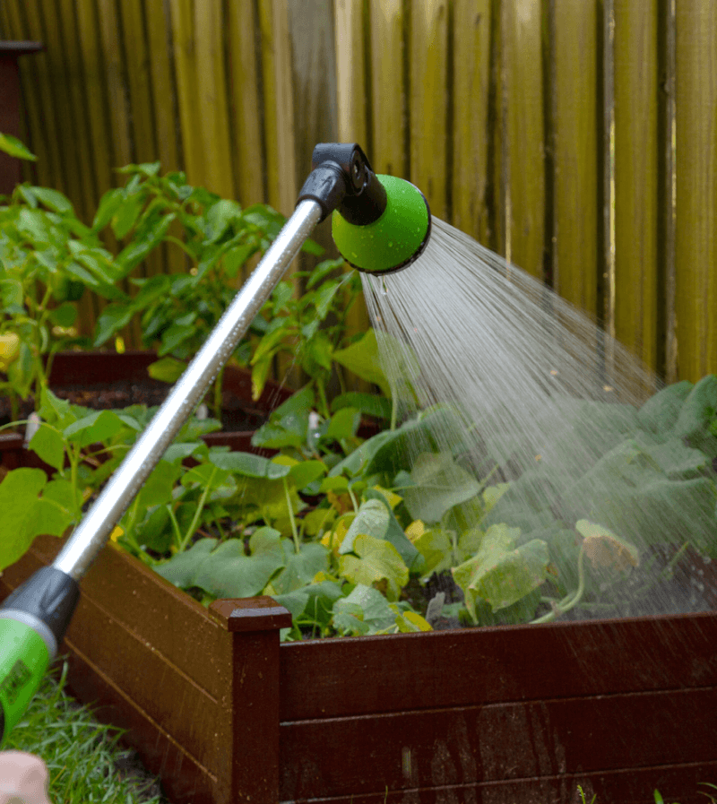watering wand over a raised garden bed