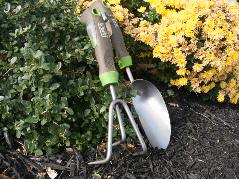 trowel and cultivator
