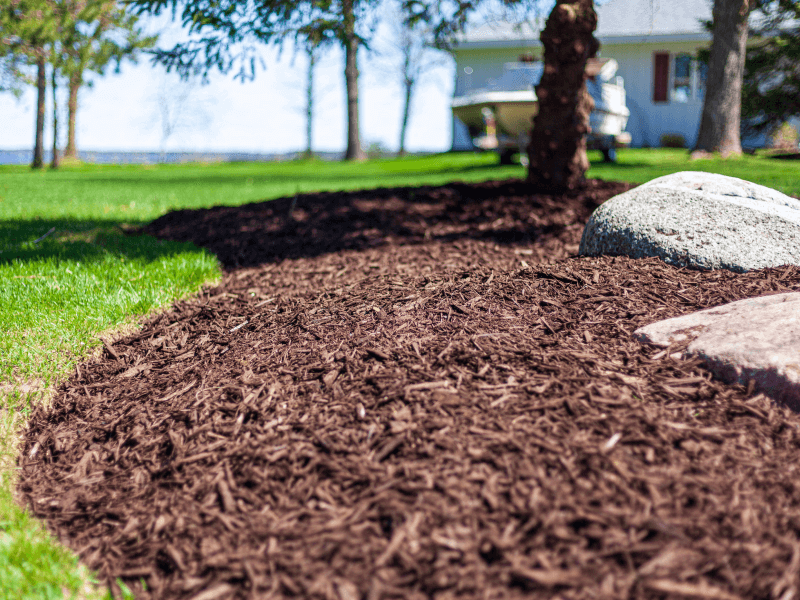 mulch in a front yard