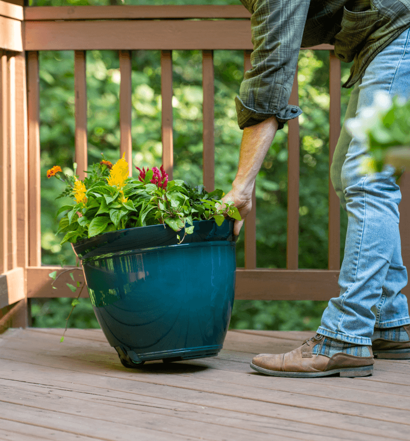 colorful planter on deck