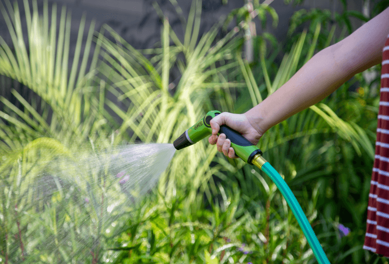 watering hose in a yard