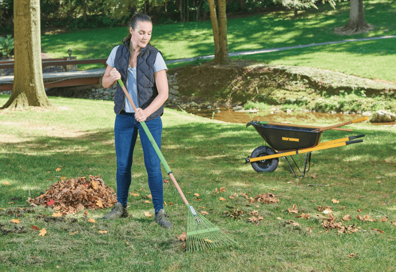 Tools and Techniques for Raking Leaves