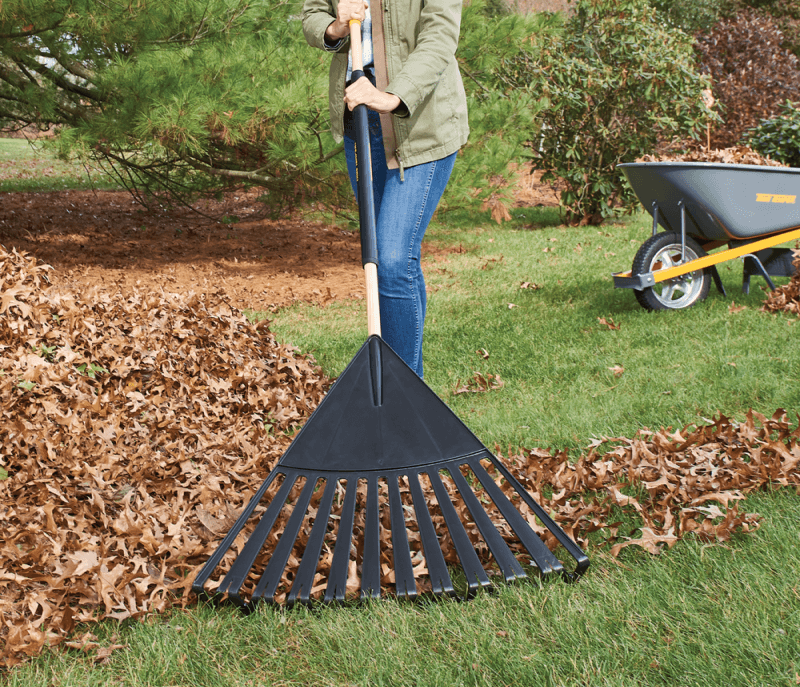 raking leaves in fall yard