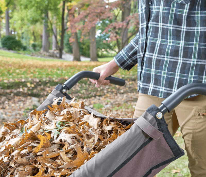 wheelbarrow full of leaves